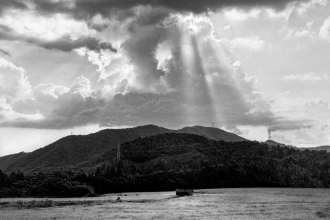 Kyoto - Rice fields - 2016