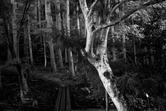 Kyoto - Landscape - 2016