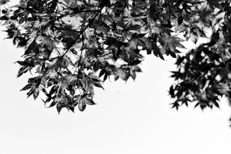 Soma (Fukushima) - One year after the tsunami - Sea - 2012