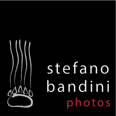stefano bandini